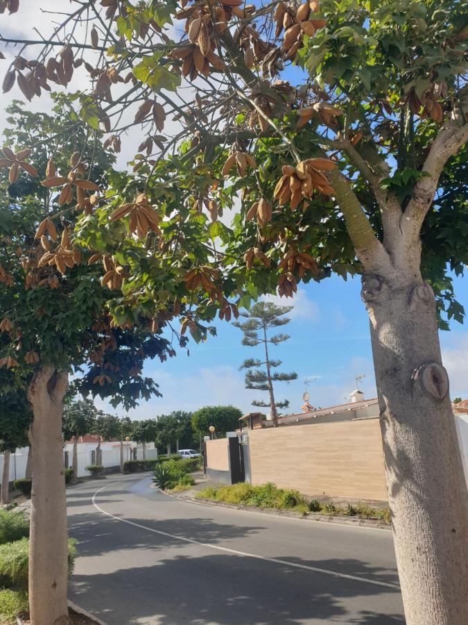 El Caramelito 1 Villa Maspalomas  Eksteriør billede