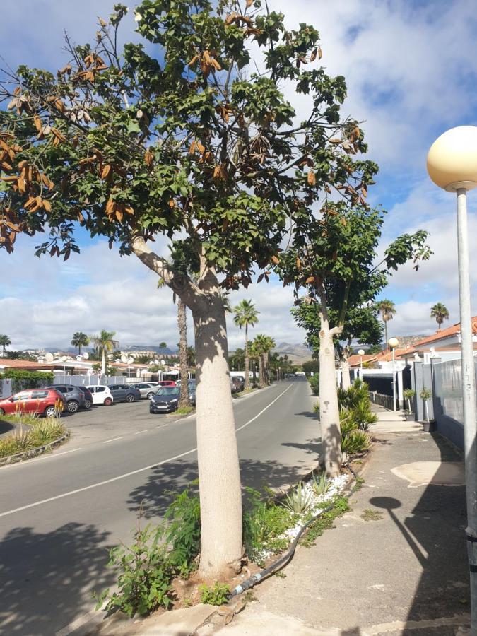 El Caramelito 1 Villa Maspalomas  Eksteriør billede